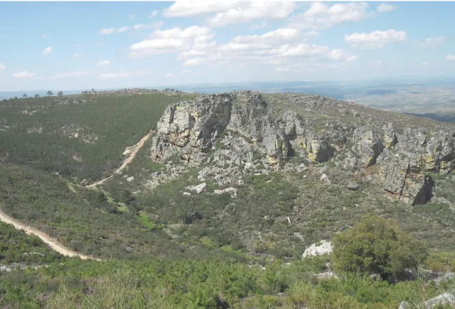 Fig. 14 – Paisagem rural de Mirandela  Fonte: Floriano Gonçalves 