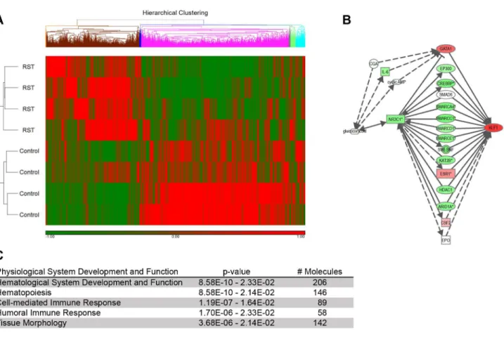 Figure 1.  Microarray analysis predicts disrupted hematopoiesis in response to RST.  Following seven days of RST, mice were sacrificed and total mRNA was extracted from the whole blood using and purified over solid phase silica columns