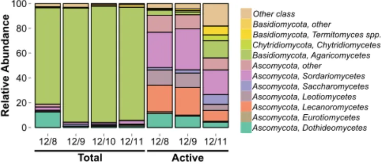 Figure 1. Basidiomycota dominate the total fungal community (mean relative abundance = 90.2 ± 6.9 %)