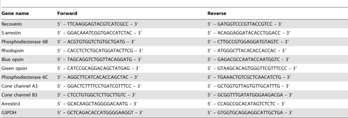 Figure S1 Southern blot analysis. A. Genomic DNA was isolated using the DNeasy kit (Qiagen)