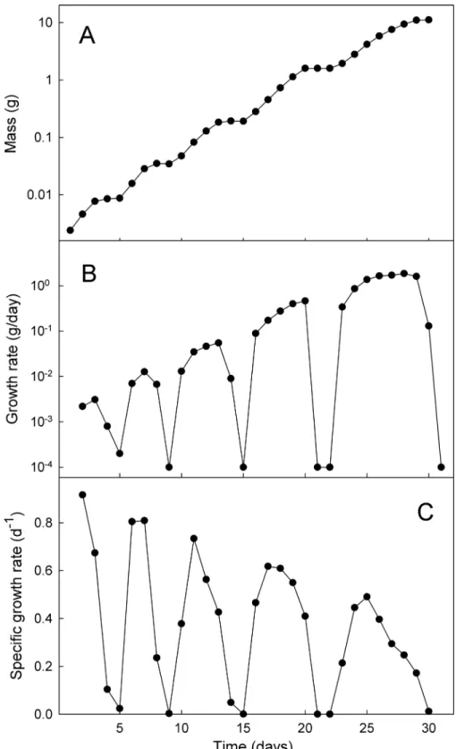 Fig 7. Growth rates change continually. Example of size and the rates of growth throughout larval life of an individual larva at 20°C