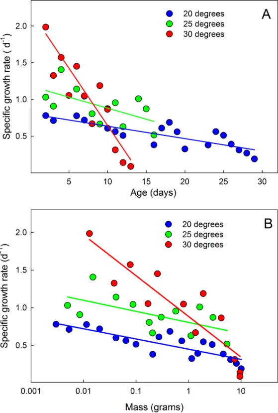 Fig 8. Mean mass-specific growth rates decline during larval life. (A) Declining specific growth rate with time