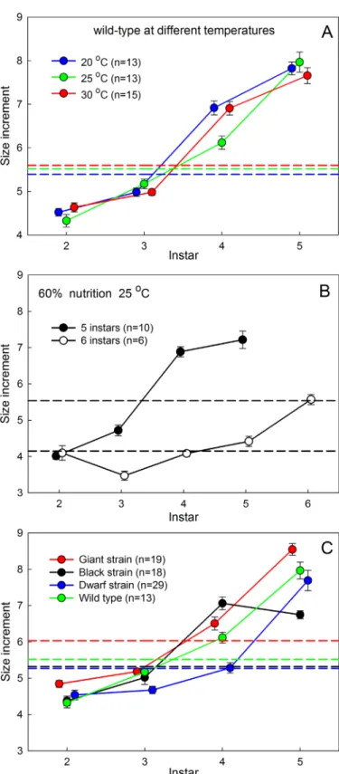 Fig 2. Size increments at each molt. (A) The wild-type strain at different temperatures