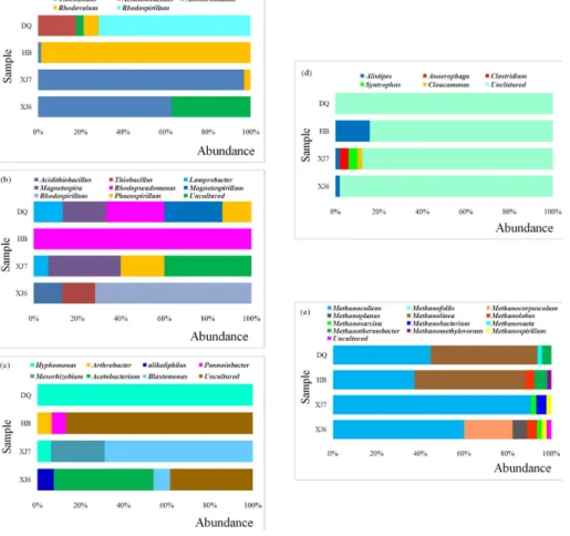 Figure 6. Relative abundance of functional microbes (at the genus level) with respect to the sequences retrieved by functional marker genes of cbbL (a), cbbM (b), fthfs (c),  FeFe-Hydrogenase gene (d) and mcrA (e).
