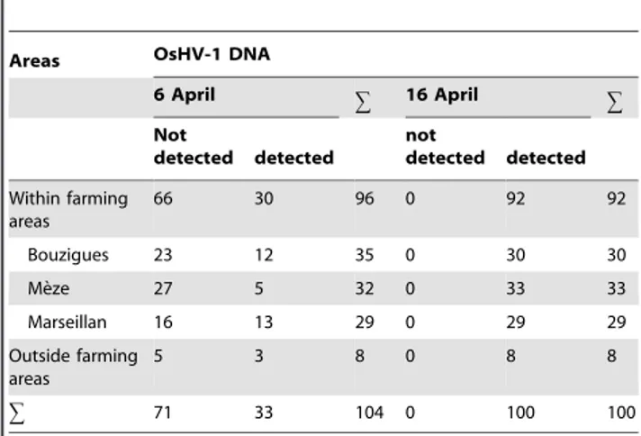 Table 1. Detection of OsHV-1 DNA according to areas and time in oysters deployed in the Thau lagoon.