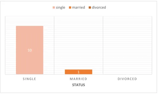 Graphic 4 - Distribution of participants by Status 