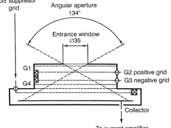 Fig. 1. Schematic of the sensor