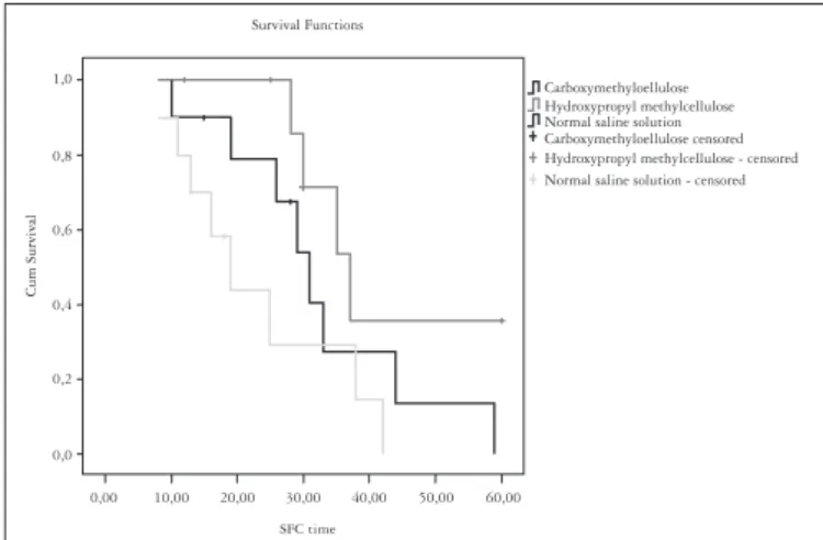 FIGURE 2.  SFC Survival curve according to the Kaplan-Meier method