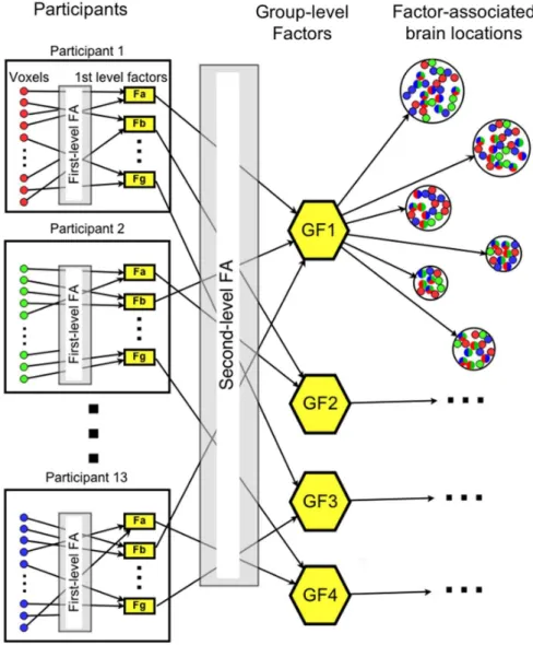 Figure 1. Schematic diagram of the two-level exploratory factor analysis procedure. The first level factor analyses are performed separately for participants 1–13