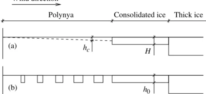 Fig. 1. Polynya formation in polynya flux models and a dynamic- dynamic-thermodynamic sea-ice model