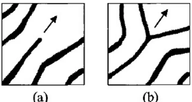 Figure 1: Types of fingerprint minutiae and their respective directions.  