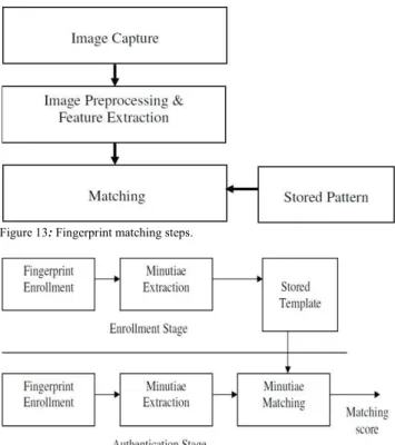 Figure 13 :  Fingerprint matching steps.