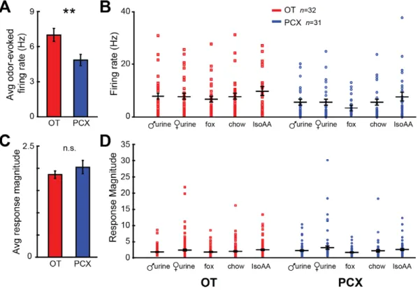 Figure 6. Odor-evoked spike rate, but not response magnitudes are greater in OT than PCX