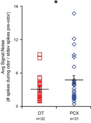 Figure 7. OT and PCX Odor signal:noise. (A) Average signal:noise (s:n, see Methods) in OT and PCX units