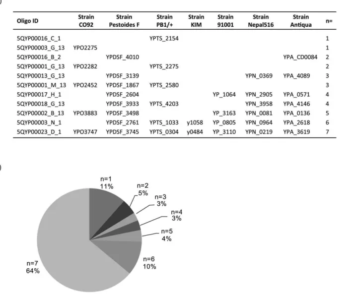 Table 1 summarizes these identifications and illustrates the high level of orthology between strains