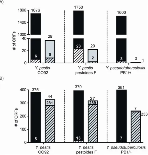 Figure 3. Categorization of experimental evidence. Preliminary analysis shows the distribution of peptide and oligo evidence across annotated open reading frames (ORFs) (i.e., predicted proteins) in black and unannotated ORFs in grey