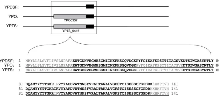 Figure 5. Representative identification of an incorrectly predicted translational start site