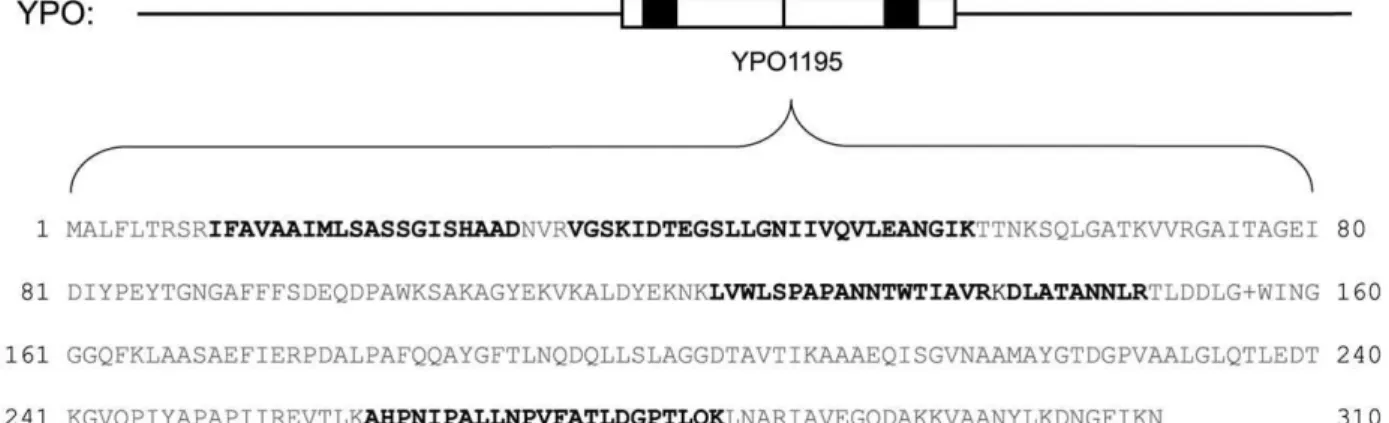 Figure 6. Representative identification of an expressed pseudogene. Pseudogenes are considered translationally silent and typically excluded from protein databases