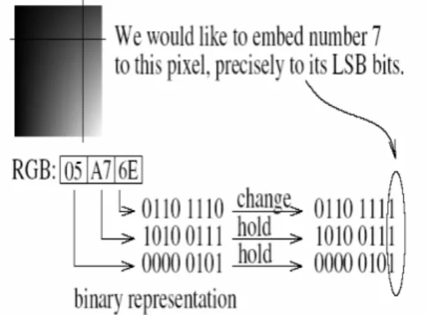 Fig. 1.2 Least Significant Bit (L.S.B) Techniques of Watermarking   