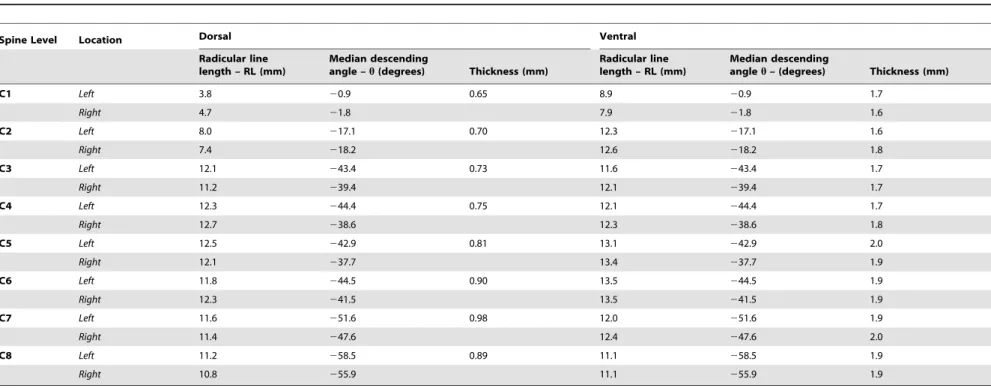 Table 1. Summary of spinal cord nerve root measurements utilized in the 3D model of the cervical spine based on cadaveric measurements in the literature.
