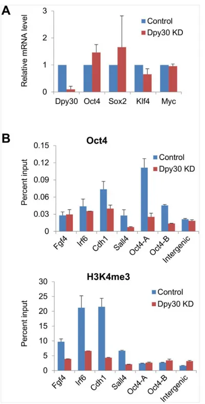 Fig 6. Dpy30 is required for efficient recruitment of Oct4 to its genomic targets. MEFs infected with control shRNA or Dpy30 shRNA#1 (KD) were used in reprogramming for 7 days