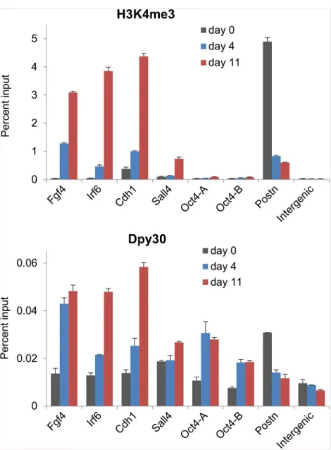 Fig 2. Dynamic recruitment of Dpy30 during cellular reprogramming. MEFs were infected with FUW-M2rtTA and TetO-FUW-OSKM viruses and cultured under the reprogramming condition