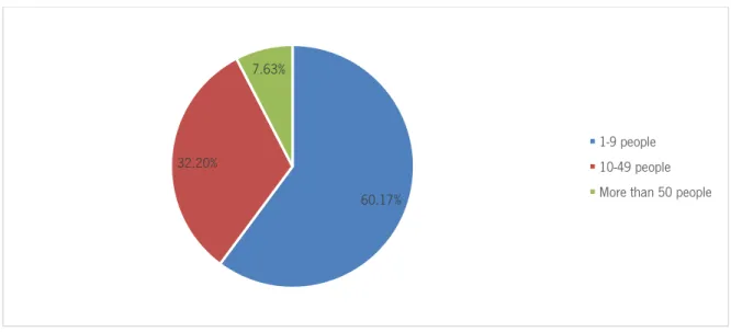 Figure 3: Enterprise size distribution 