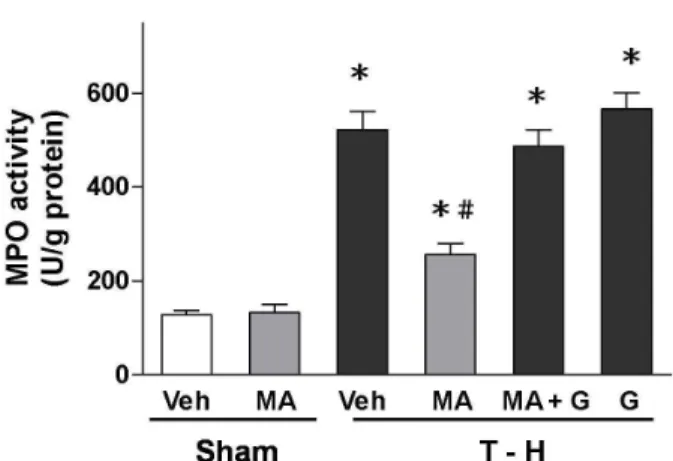 Figure  4.    ICAM-1  levels  in  the  liver  in  rats  after  sham operation (Sham) or trauma-hemorrhage and resuscitation (T-H)