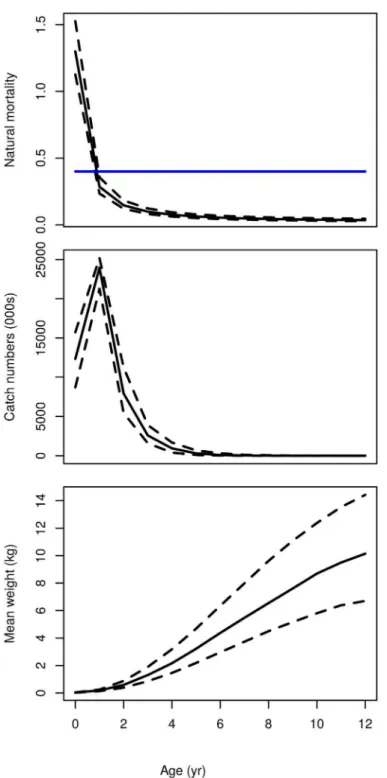 Fig 4. Example age-based stock data after the length-based data has been sliced using the uncertain von Bertalanffy growth parameters