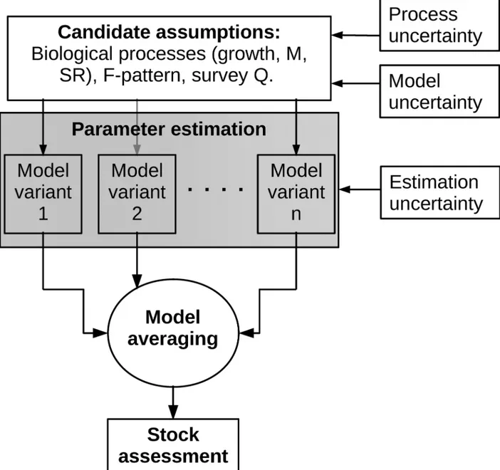 Fig 1. Schematic diagram of the approach. The approach has three steps: Generating the candidate assumptions, estimating the parameters of the stock assessment models and averaging across the model variants