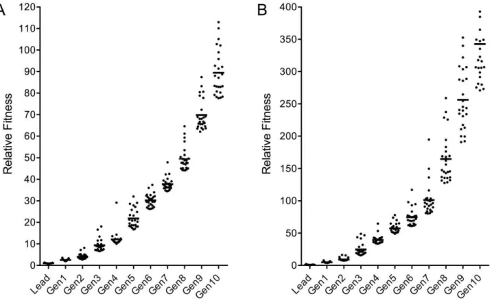 Figure 4. Increase in target-binding strength of peptide sequences in the course of the molecular evolution process