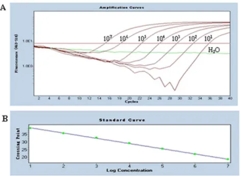 Figure 4. Sensitivity of the conventional PCR. Ten-fold dilutions of standard DNA ranging from 10 7 copies/mL to 10 1 copies/mL were used to determine the sensitivity of the conventional PCR