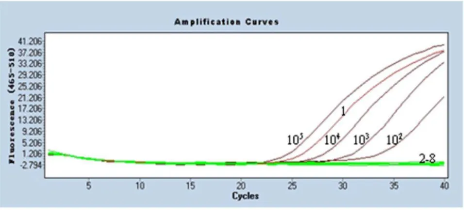 Table 2. Reproducibility of real-time PCR.