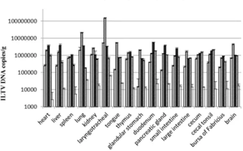 Figure 6. Distribution and quantity of ILTV DNA in each tissue of the chickens at different days post infection