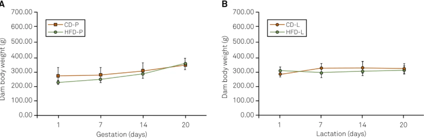 Figure 1. Body weight of rat dams during pregnancy (A) and lactation (B). Data are expressed as mean±SD