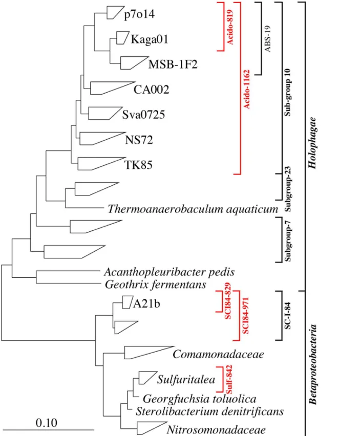 Fig 1. Maximum-likelihood (PhyML) 16S rRNA gene phylogenetic tree of target groups and selected related sequences