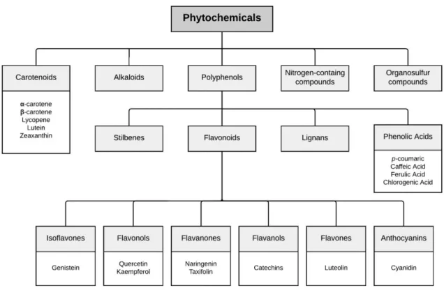 Figure 1. Phytochemicals classes and some examples of most common compounds of each class