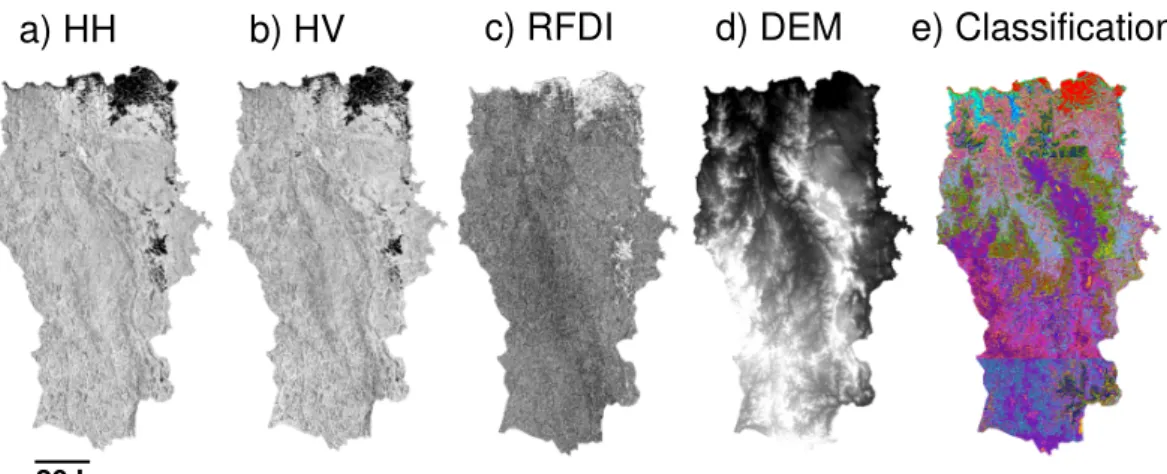 Fig. 2. Images of Lop ´e National Park using (a) PALSAR HH, (b) PALSAR HV, (c) Radar Forest Degradation Index (RFDI), (d) Digital Elevation Model (DEM), (e) Classified map, showing 40 classes with arbitrary colours.