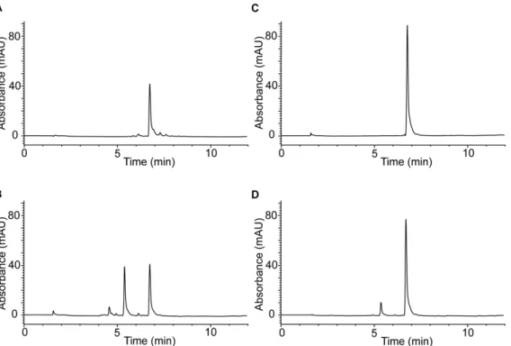 Figure 3. MonoHER and ascorbate consumption rates. Con- Con-sumption of monoHER and ascorbate in the incubation mixtures containing 50 mM monoHER, 1.6 nM HRP and 33 mM H 2 O 2 in the presence of either 40 mM GSH, 40 mM ascorbate or both 40 mM GSH and 40 mM
