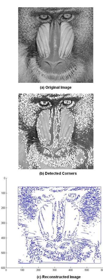 Figure 6: Image Reconstruction(a) Original Image (b) Extracted corners (c) Reconstructed by fitting straight lines between corners