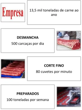 Figura 4. Capacidade produtiva da empresa.