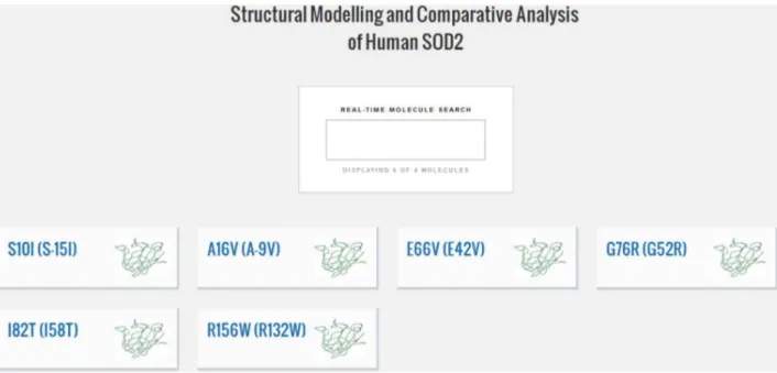 Figure 6. Screenshot of the SOD2 Database web interface for structural modelling and comparative analysis.