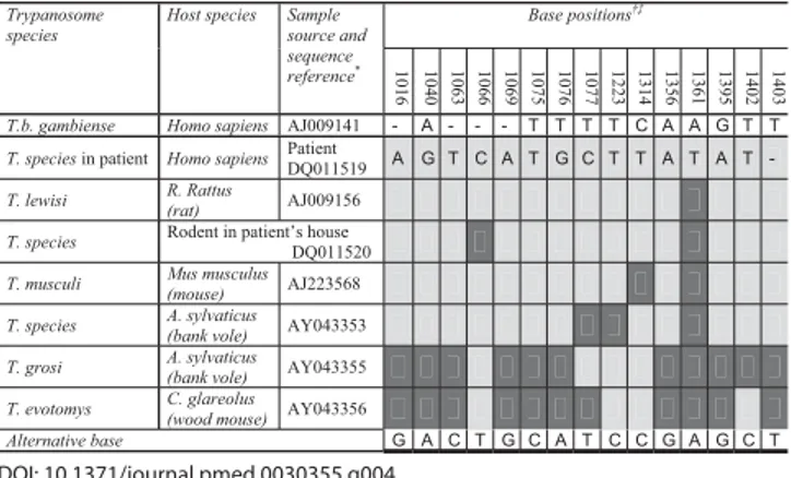 Figure 4. Genotypes of the Parasite Isolated from the Patient, the  Parasite Isolated from a Rodent Captured in the Patient’s Home,  T