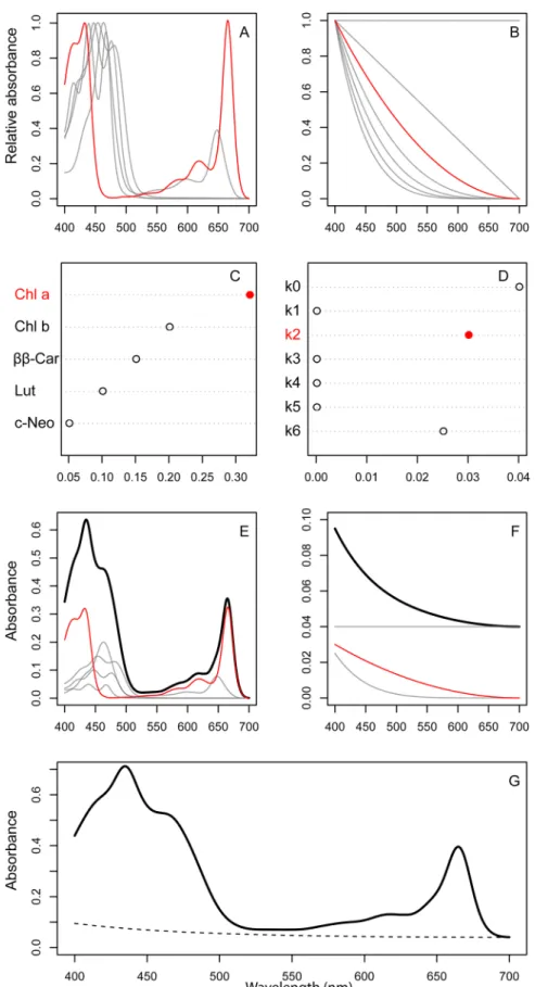 Fig 1. Conceptual overview of the fitting procedure. A) Individual pigment spectra (here, chl a, chl b, ββ- ββ-Car, Lut, c-Neo), and B) background basis spectra are assigned weights (C, D) in the NNLS regression,