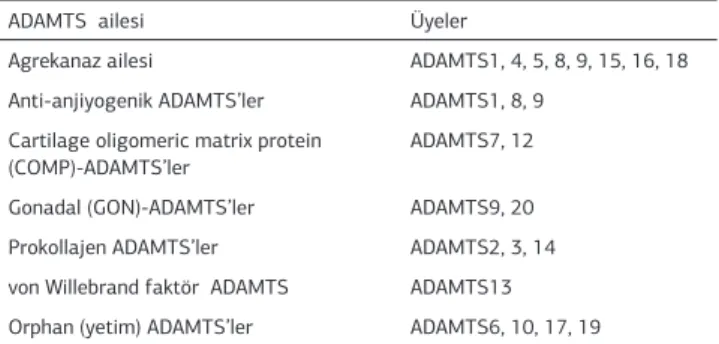 Tablo 1. ADAMTS proteinazlarının görevlerine göre sınılandırılması  