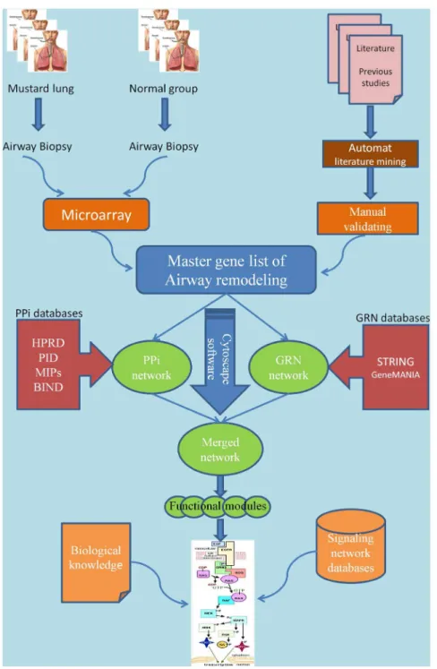 Figure 1. A schematic picture demonstrating the pathway reconstruction workflow. The workflow shows that the master gene list is provided from two sources (microarray gene expression and literature mining)