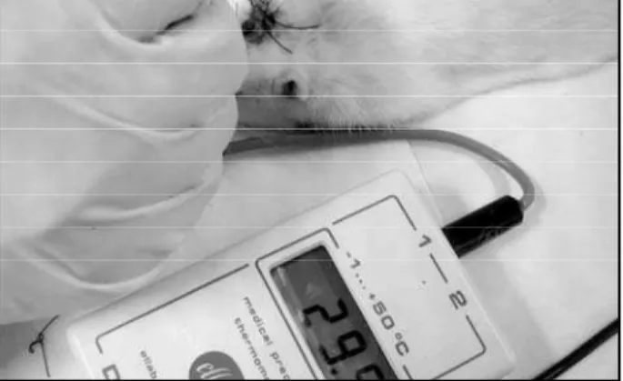 Fig 2. Brain temperature is observed. Probe is inserted 5mm w i - -thin the brain parenchyma.