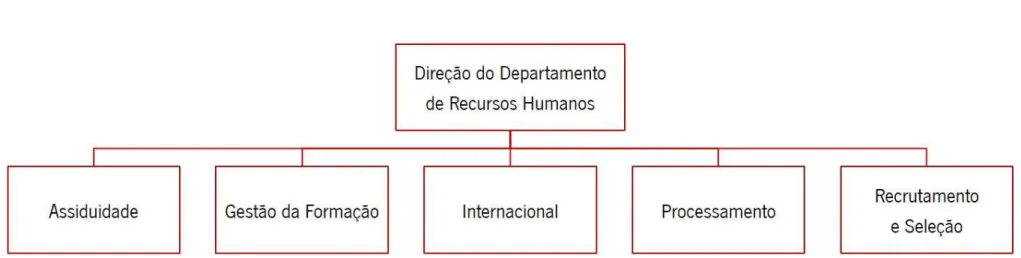 Figura 2 – Organograma do Departamento de Recursos Humanos do Grupo DST