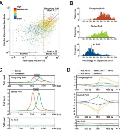 Figure 5. Correlation between chromatin modifications at TSS and gene expression. (A) RNA polII scores around TSS (X axis) and over gene bodies (Y axis) of 9,338 protein-coding genes correlate to their relative expression levels (color spectrum)