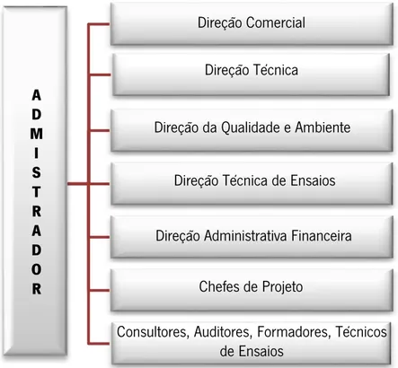 Figura 1-Esquema Hierárquico da YH: informação retirada do site e adotado pela autora